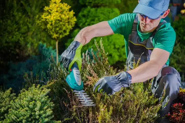 landscaping services Scott